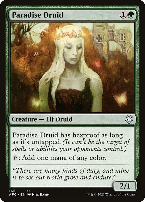 Paradise Druid - Commander: Adventures in the Forgotten Realms