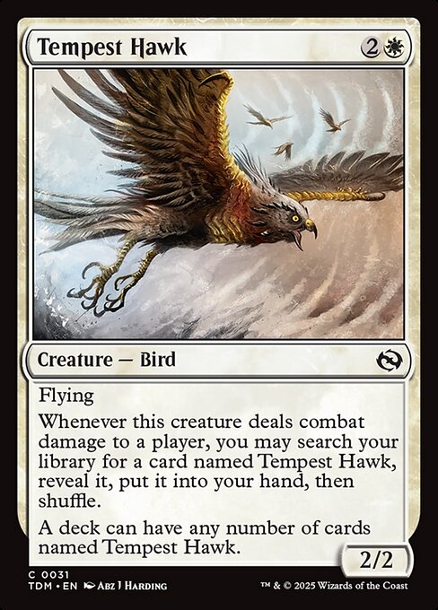 Tempest Hawk (Foil) - Tarkir: Dragonstorm