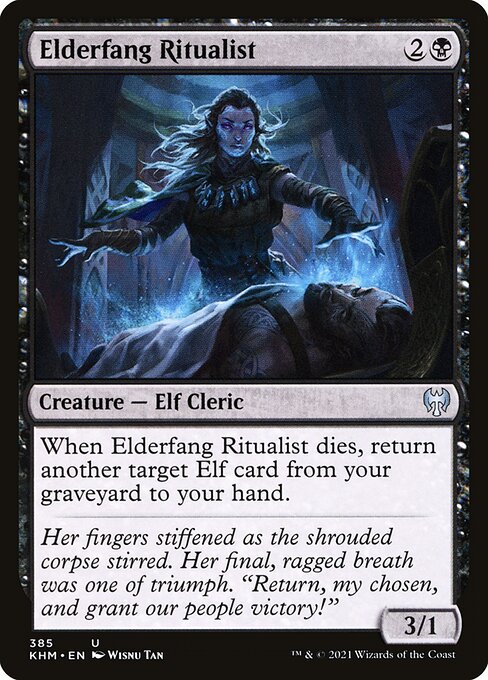 Elderfang Ritualist - Kaldheim