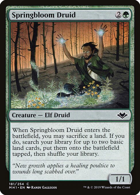 Springbloom Druid (Foil) - Modern Horizons