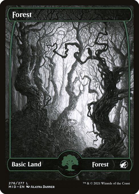 Forest (276) - Innistrad: Midnight Hunt