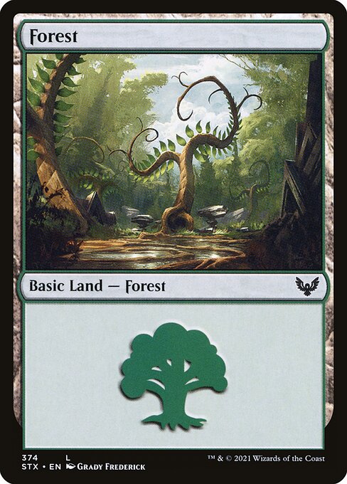 Forest (374) - Strixhaven: School of Mages