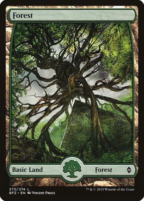 Forest (273) - Full Art - Battle for Zendikar