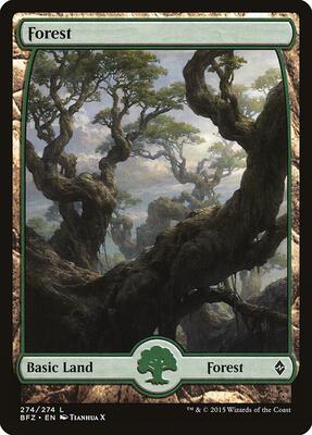 Forest (274) - Full Art - Battle for Zendikar