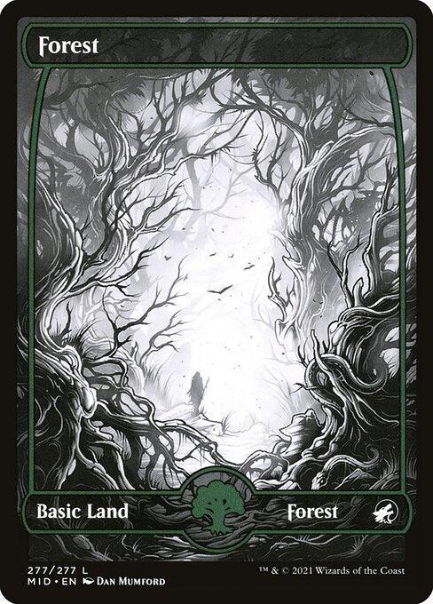 Forest (277) - Innistrad: Midnight Hunt