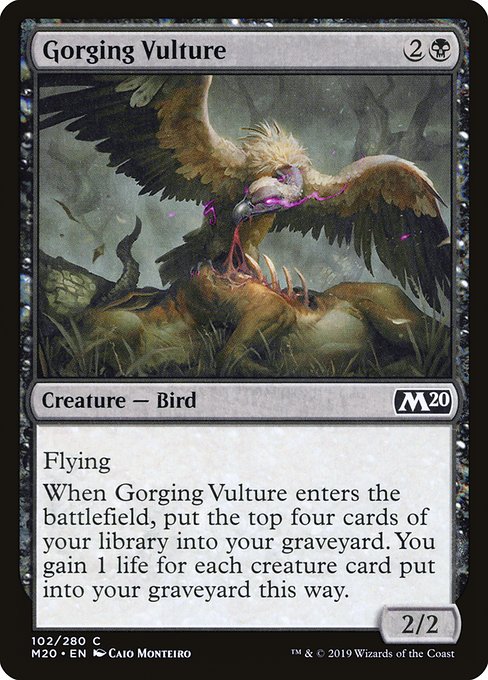 Gorging Vulture - Core Set 2020