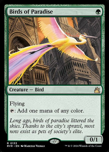 Birds of Paradise (Foil) - Buy-A-Box Promos