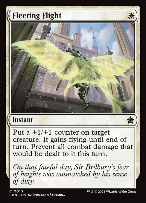 Fleeting Flight - Foundations