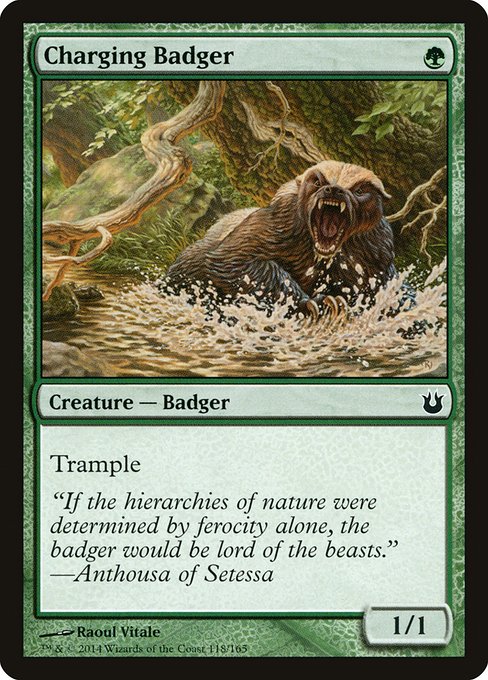 Charging Badger - Born of the Gods