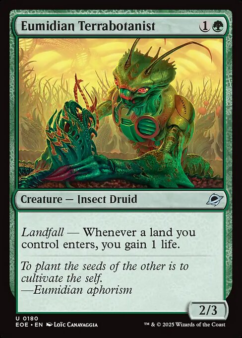 Eumidian Terrabotanist (Foil) - Edge of Eternities