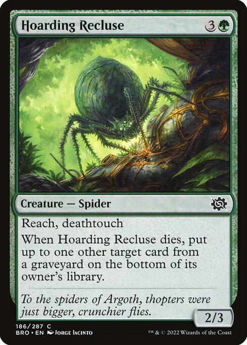 Hoarding Recluse (Foil) - The Brothers' War