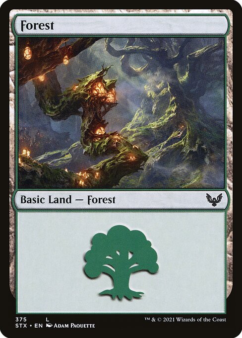 Forest (375) - Strixhaven: School of Mages
