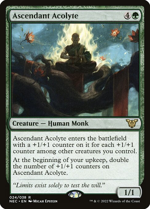 Ascendant Acolyte - Commander: Kamigawa: Neon Dynasty