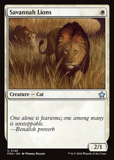 Savannah Lions - Foundations