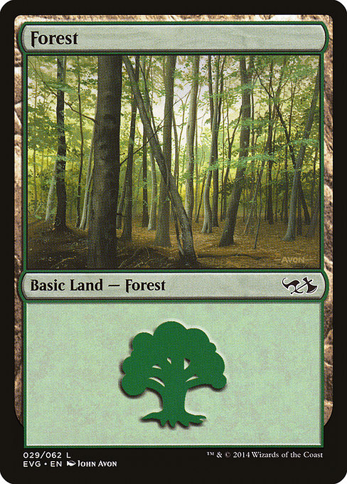 Forest (029) (EVG) - Duel Decks: Anthology